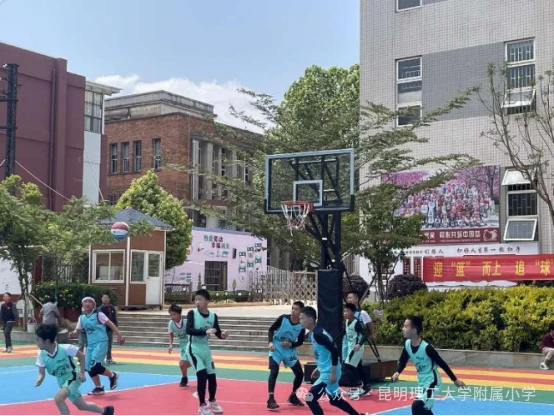 儿童篮球基本功训练内容包括_0